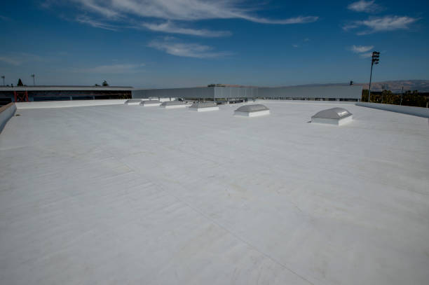 Best Steel Roofing  in South Whitley, IN