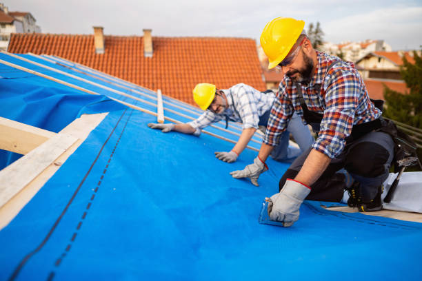 Best Green or Eco-Friendly Roofing Solutions  in South Whitley, IN