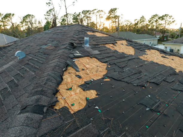 Best Skylight Installation and Repair  in South Whitley, IN