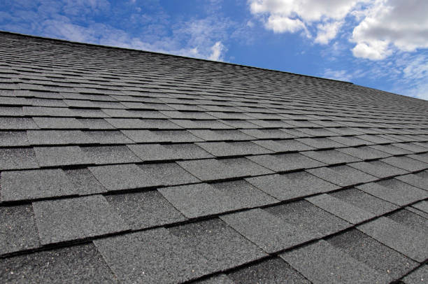 Best Asphalt Shingles Roofing  in South Whitley, IN